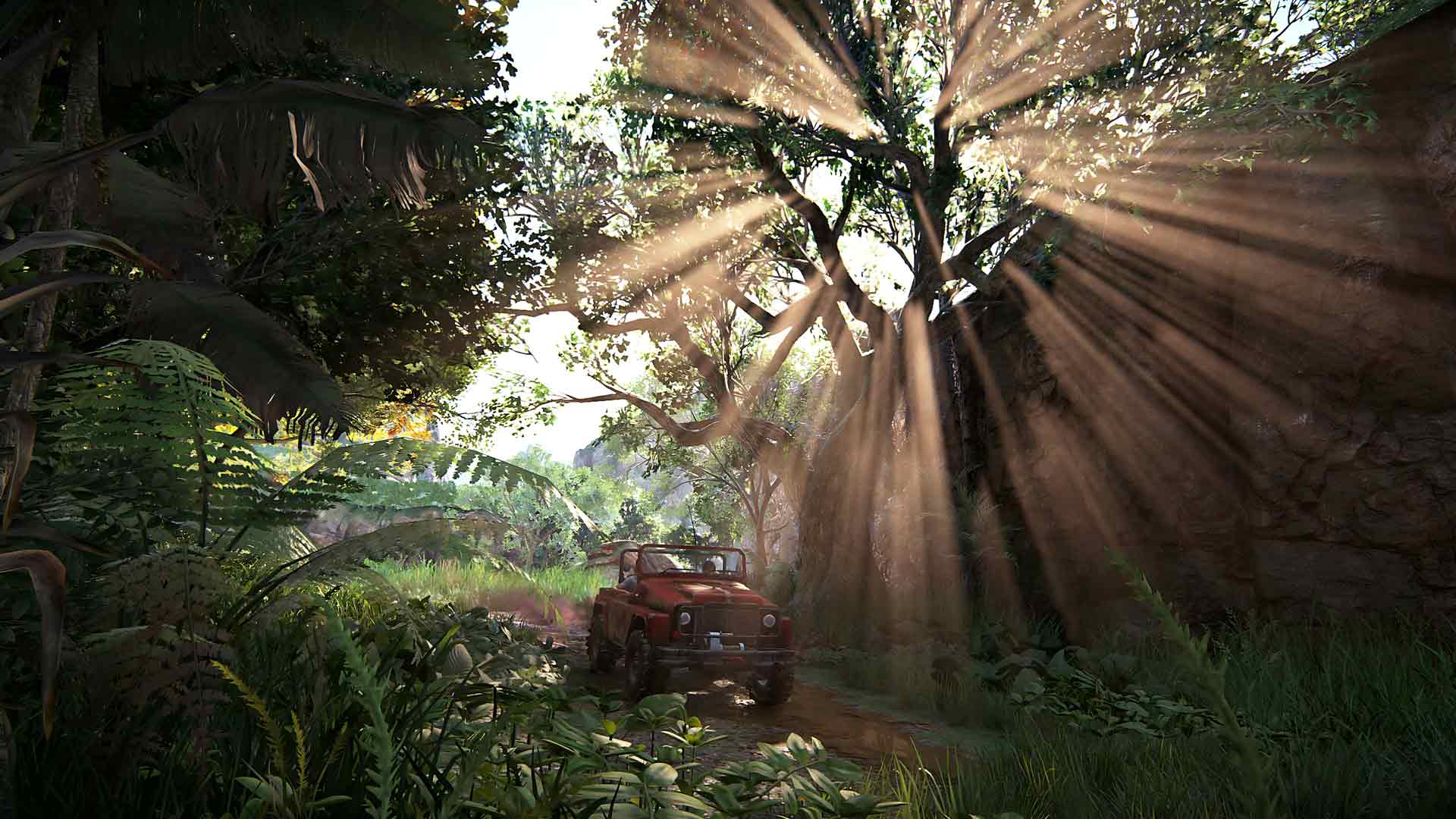 未知吉普车穿越丛林桌面壁纸