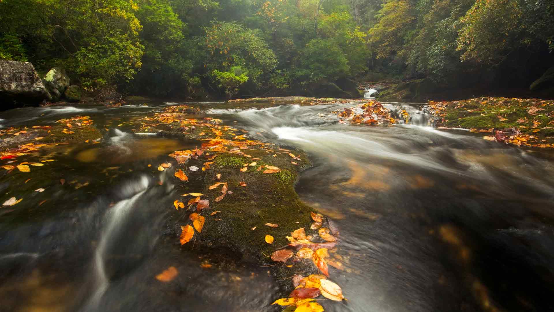 查图加河，阿巴拉契亚山脉，北卡罗来纳州，美国